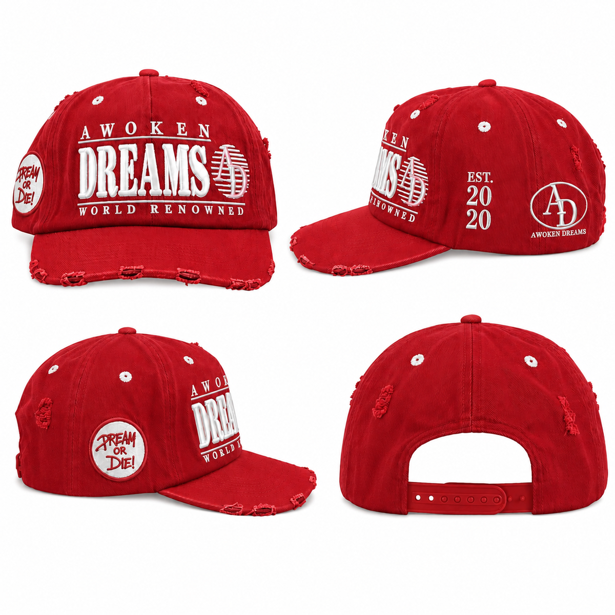 Awoken Dreams Dream Or Die Trucker hats
