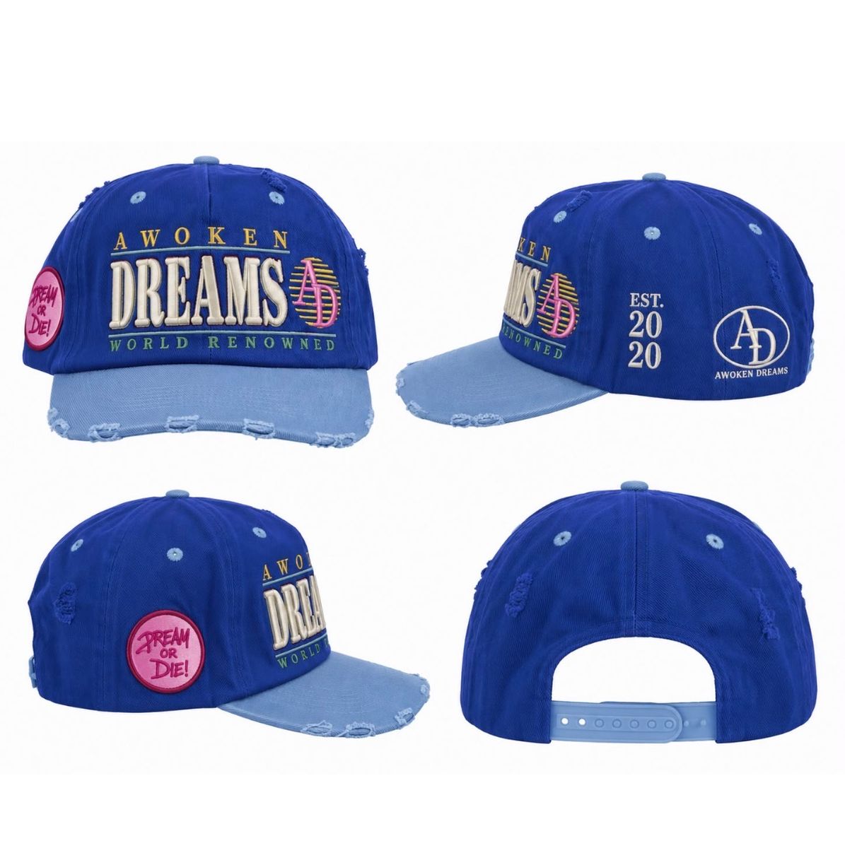 Awoken Dreams Dream Or Die Trucker hats