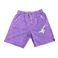 Root Of Evil Guitar Fleece Shorts