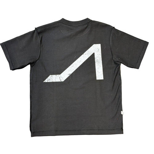 Apolinar Madonna T-shirt