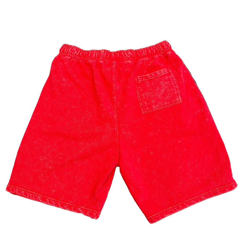 Root Of Evil Guitar Fleece Shorts